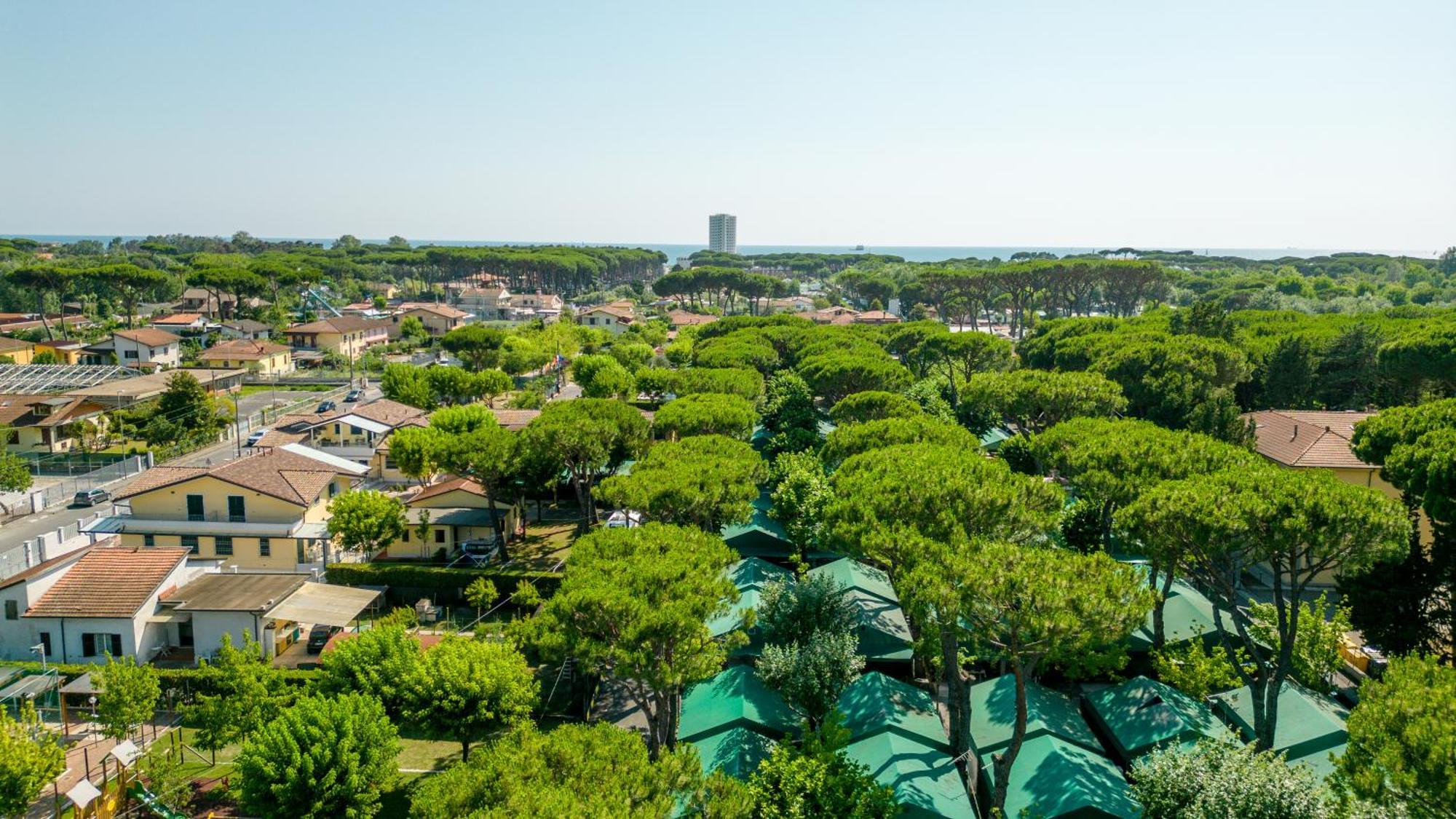 Camping Apuano Marina di Massa Bagian luar foto