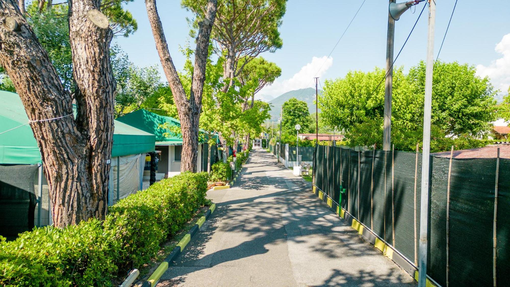 Camping Apuano Marina di Massa Bagian luar foto