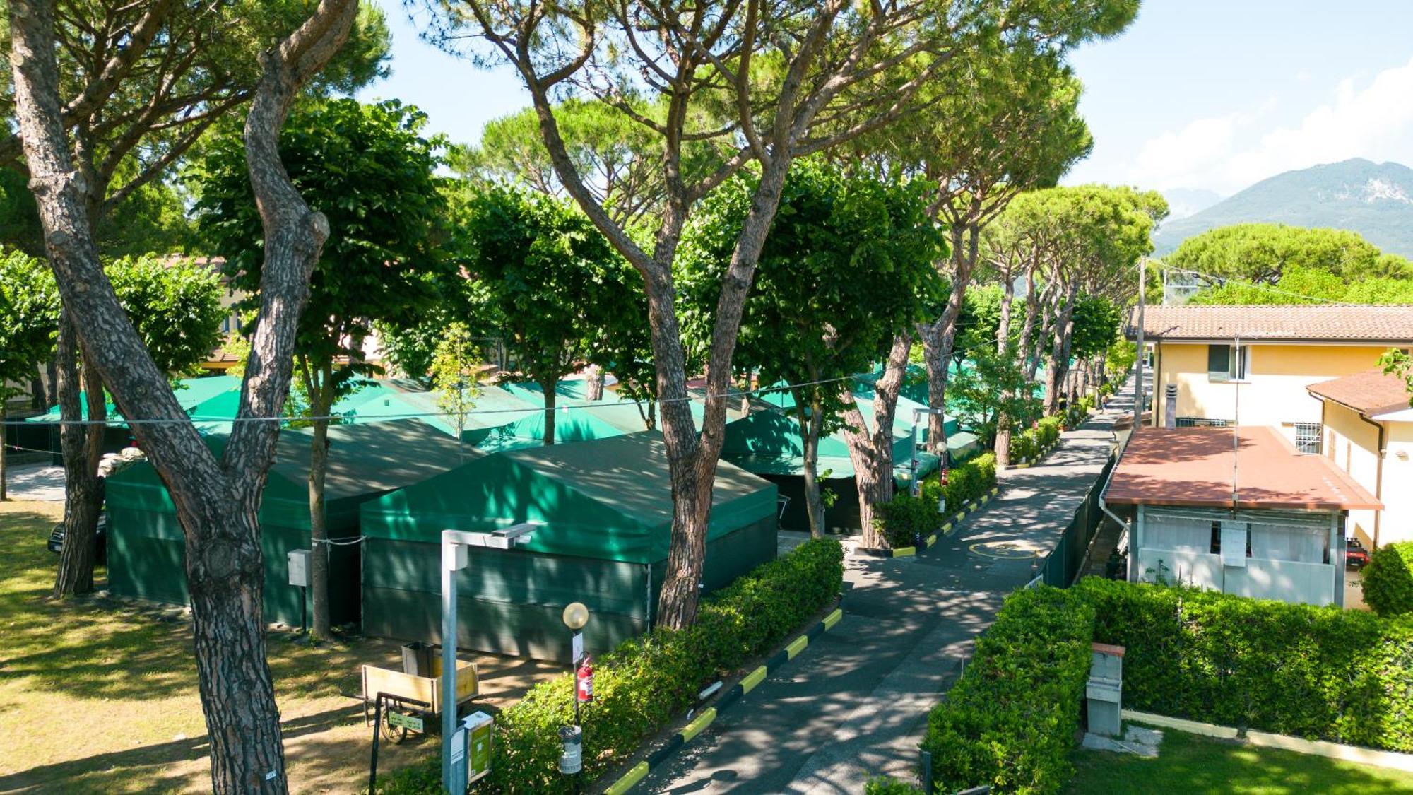 Camping Apuano Marina di Massa Bagian luar foto