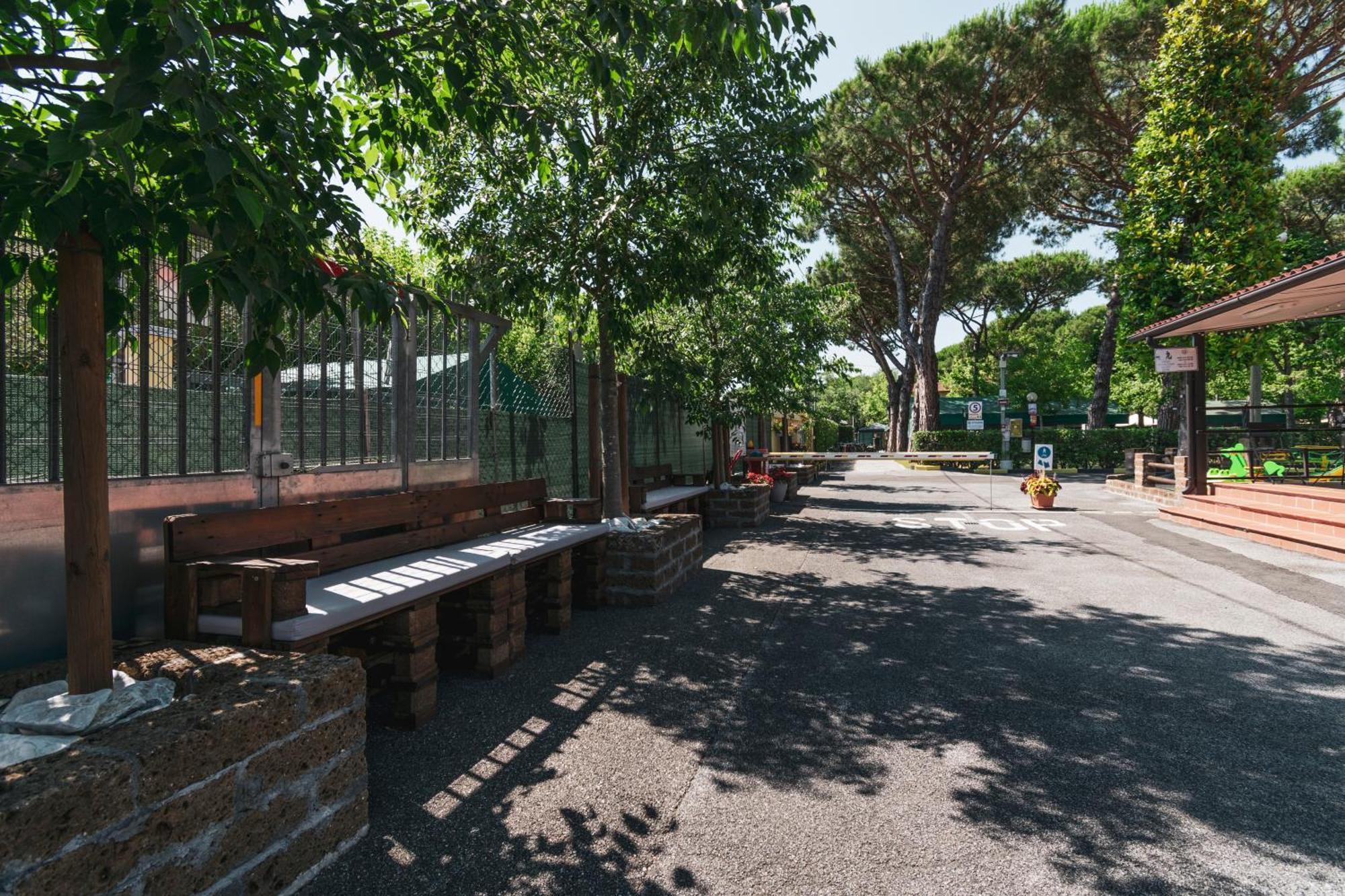 Camping Apuano Marina di Massa Bagian luar foto